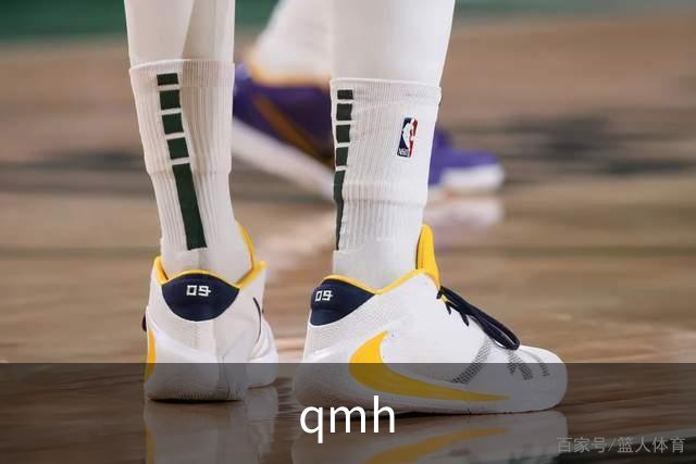 关于qmh